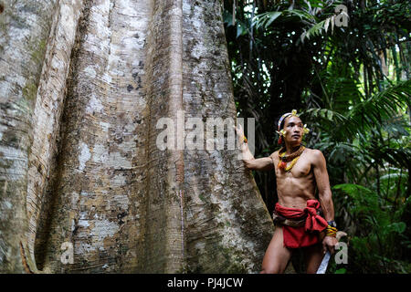 Young shaman leaning on a huge tree with his hand and a sword in the other hand, Mentawai, Siberut, Sumatra, Indonesia Stock Photo