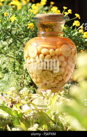 pots anciens de confits de citron mandarine et orange, Antiguos tarros de mandarina y limón confitado, Antike Gläser mit Mandarine und Orangen-Zitrone Stock Photo