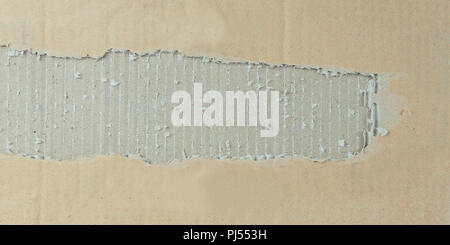 two torn piece of cardboard on white background Stock Photo