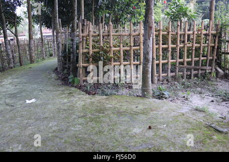 Graves at Muslim cemetery.Muslim graveyard with Surrounded by bamboo fencing.New Bangladesh Graveyard with Bamboo fencing. Stock Photo