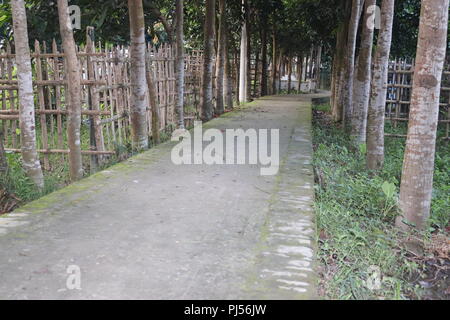 Graves at Muslim cemetery.Muslim graveyard with Surrounded by bamboo fencing.New Bangladesh Graveyard with Bamboo fencing. Stock Photo