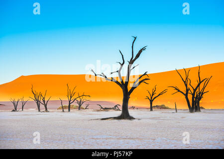 Dead Camelthorn Trees and red dunes in Deadvlei, Sossusvlei, Namib-Naukluft National Park, Namibia Stock Photo