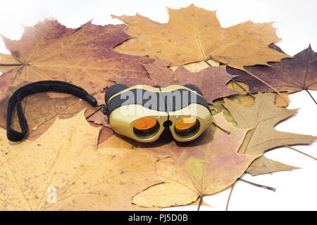 Binoculars on autumn leaves. Isolated on white background Stock Photo