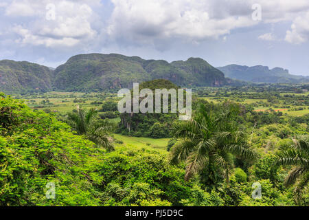 Viñales Valley panorama, view across lush green landscape and mogotes, Sierra de los Órganos, Pinar del Rio, Cuba Stock Photo