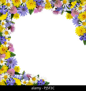 Wild flowers in a frame arrangement isolated on white background. Stock Photo