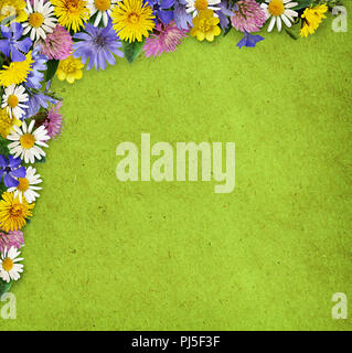 Wild flowers in a frame arrangement on green paper background. Flat lay. Top view. Stock Photo