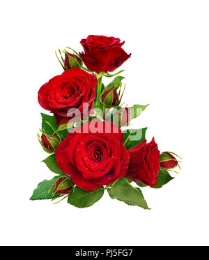 Corner composition with red rose flowers and jasmine isolated on white ...