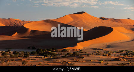 beautiful sunrise landscape, hidden Dead Vlei in Namib desert, Namibia, Africa wilderness landscape Stock Photo