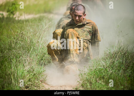 FORT BENNING, Ga (Aug. 31, 2018) – Trainees from Delta Company, 2nd Battalion, 19th Infantry Regiment, train on the Sand Hill Obstacle Course at Fort Benning, Georgia, August 28. The battalion is charged with training and transforming civilians into disciplined, adaptive and flexible Infantrymen, ready to accomplish the mission of the Infantry Corps. (U.S. Army photo by Patrick A. Albright, Maneuver Center of Excellence, Fort Benning Public Affairs) Stock Photo