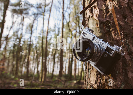 Vintage Kiev analog rangefinder camera hanging on tree in forest Stock Photo