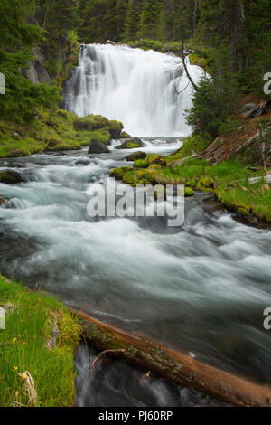 Waterfall on Falls Creek along Green Lakes Trail, Three Sisters Wilderness, Deschutes National Forest, Oregon Stock Photo