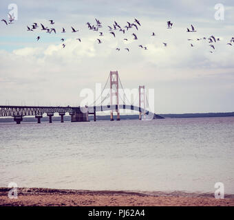 Mackinac suspension bridge at sunset. Opened in 1957, the 26,372-foot-long, Michigan, USA Stock Photo