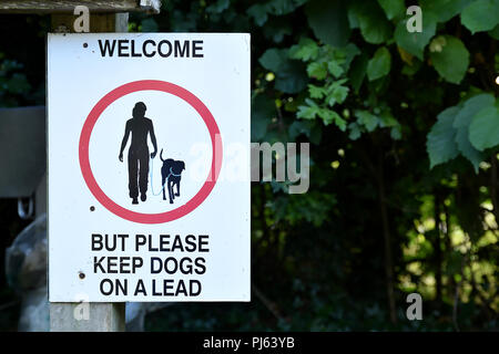 Welcome but please keep dogs on a lead please sign on a wooden post. Symbol of person and dog on leash with black text on white background in a red ci Stock Photo