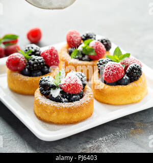 Dessert cups with sponge cake and fresh berries Stock Photo