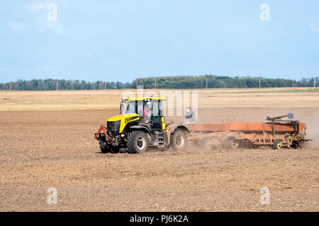 In the autumn, the farmer processes the fields with the tractor and sows the seeds for the next harvest. Stock Photo