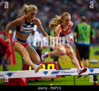 BRUSSELS - BELGIUM, 31 AUG 18. Emma Coburn and Courtney Frerichs competing in the Women's 3000m Steeplechase at the IAAF Diamond League ( AG Memorial  Stock Photo