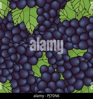 Seamless pattern background with grapes. Leaves and black berries. Vector illustration. Stock Vector