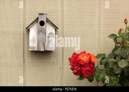Small rustic handmade birdhouse decorated with a gray and white wood lighthouse hanging next to beautiful orange, yellow, red rose bush Stock Photo
