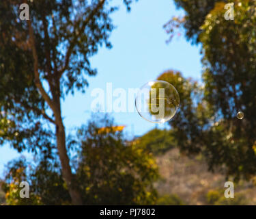 Closeup of single bubble floating in background of trees and blue sky with reflections in bubble Stock Photo