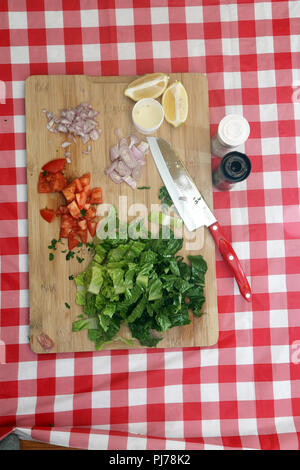 Romaine lettuce, Roma tomato, and whole lemon on a red checkered tablecloth Stock Photo