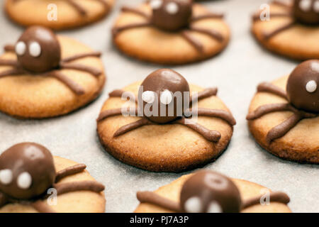 Funny delicious ginger biscuits for Halloween on the table. Set of chocolate Halloween spider cookies on paper for bake and wooden background Stock Photo