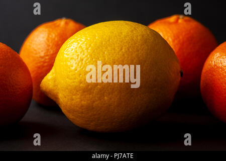 Yellow ripe lemon with four mandarin oranges in the background over black. Shallow dof. Stock Photo