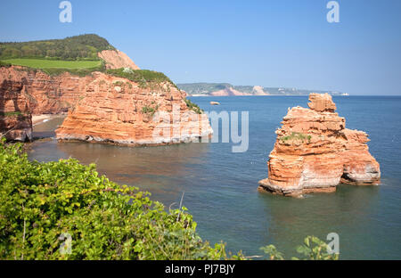 Ladram Bay, Devon, England; the rock formations stack in the sea, selective focus Stock Photo