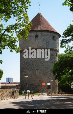 Tallinn Kiek in de Kok, view of the tall medieval cannon tower on Toompea Hill known as Kiek in de Kok, Tallinn, Estonia. Stock Photo