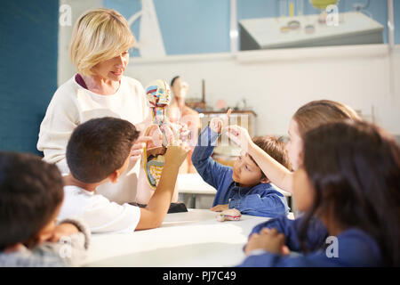 Teacher and curious students with anatomical model in science center Stock Photo