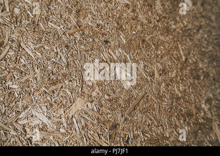wood texture background Stock Photo