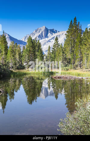 A small unnamed mountain lake reflects the distant mountain peaks and trees in this stunning landscape of the  Sierra Nevada Mountains  California Stock Photo