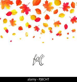Seamless border pattern of falling autumn leaves. Vector Stock Vector