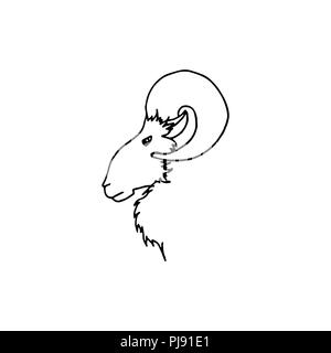 Vector illustration of hand drawing ram head in profile. Black sketch goat silhouette Stock Vector