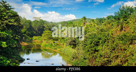 Tropical forest on banks of river and blue cloudy sky Stock Photo