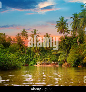 river, beautiful sunrise and tropical palms Stock Photo