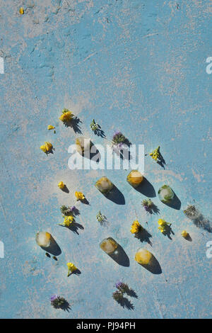 cube of ice with frozen yellow dandelion  and yellow and blue  flower on Blue background . Look like as Flying  rocket in space with planet, stars. Sc Stock Photo