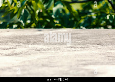 surface of concrete background texture in perspective and green leaf Stock Photo