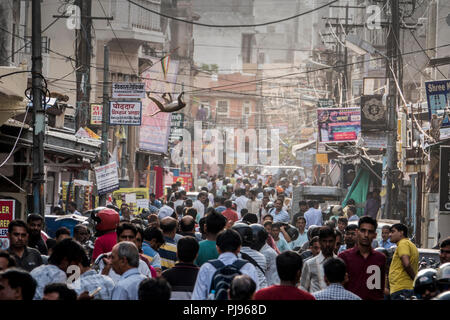 A rhesus macaque monkey climbs across power lines with rush hour crowded street of people below in Jaipur, Rajasthan, India Stock Photo