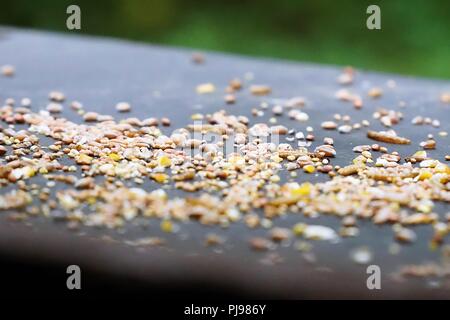 Wild Bird seed  on an outside table close up Stock Photo