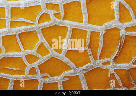 Texture of a ripe melon, close-up Stock Photo