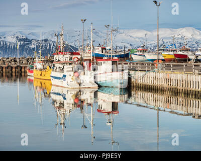13 April 2018: Husavik, North Iceland - Fishing boats in the harbour on a bright spring day. Stock Photo