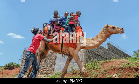 Nairobi, Kenya. 24th Mar, 2018. Local kids around Kibera Slums seen happily enjoying a free camel ride.Kibera is one of Africa's largest Slums located in East Africa, Kenya. Credit: Donwilson Odhiambo/SOPA Images/ZUMA Wire/Alamy Live News Stock Photo