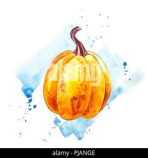 Pumpkin. Hand drawn watercolor painting on white background. Watercolor illustration with a splash. Happy Thanksgiving Pumpkin. Stock Photo