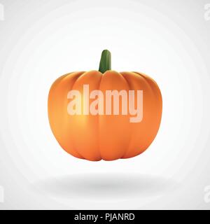 Realistic pumpkin with white background, vector, illustration, eps file Stock Vector