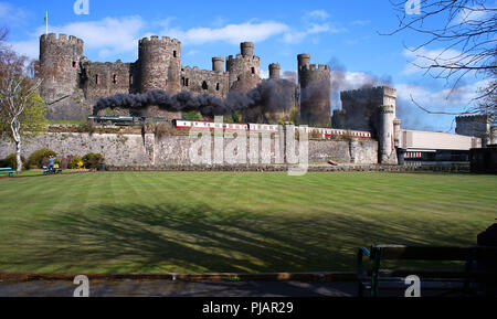 Royal Scot steam train travelling past Conwy Castle, coming out of Telford's railway bridge. This shot taken in April 2018. Stock Photo