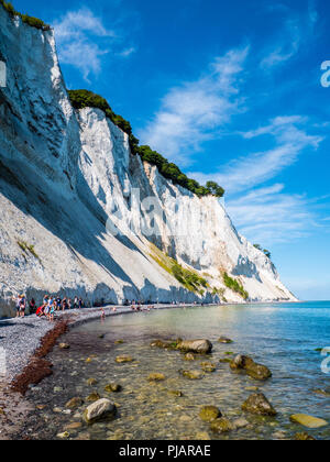 Tourists Walking at, Møns Klint, Famous Chalk Cliffs, Island of Mons, Denmark, Europe. Stock Photo