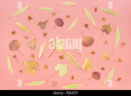 Autumn leaves and flowers on pastel pink background. Nature inspiration. Stock Photo