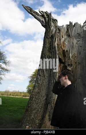 a sixteen year old teenager stands alone by an old dead tree brushing his hair back and yawning while looking across a field near Salisbury, Wiltshire Stock Photo