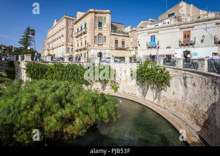 SYRACUSE, ITALY - OCTOBER 14, 2014: Fountain of Arethusa with papyrus plant (Italian: Fonte Aretusa) is a natural fountain on island of Ortygia in his Stock Photo