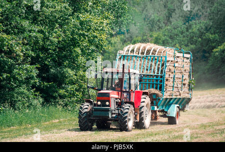 A man driving a tractor with a trailer full of hay on a field on a sunny summer day. Stock Photo